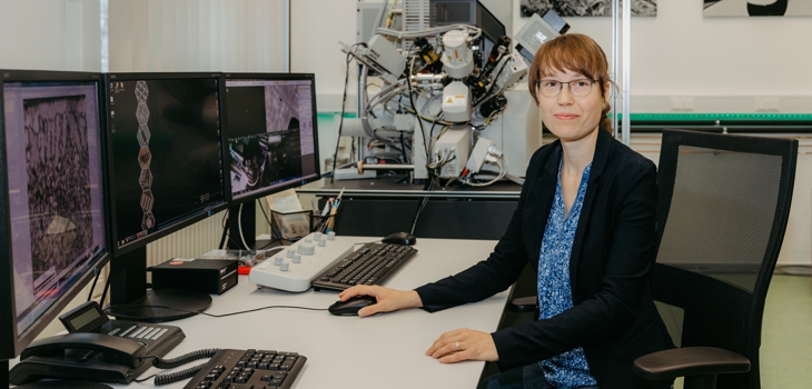 Wegweisendes Werkstoffdesign