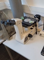 Auflichtmikroskop Auflichtmikroskop